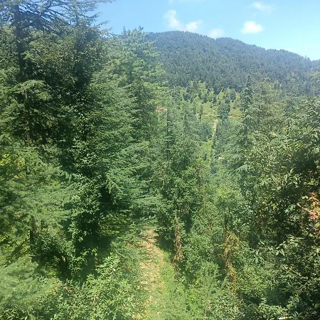Peace Holiday Homestay Chail Exterior photo