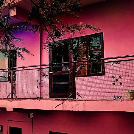Peace Holiday Homestay Chail Exterior photo
