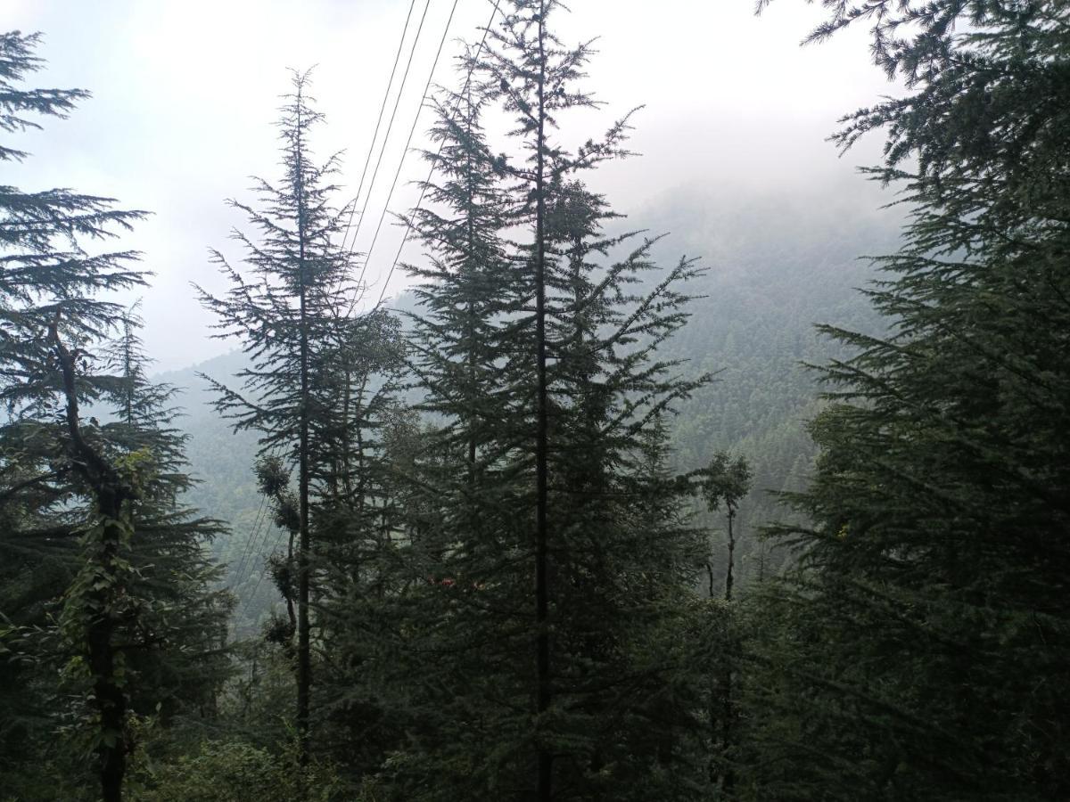 Peace Chail