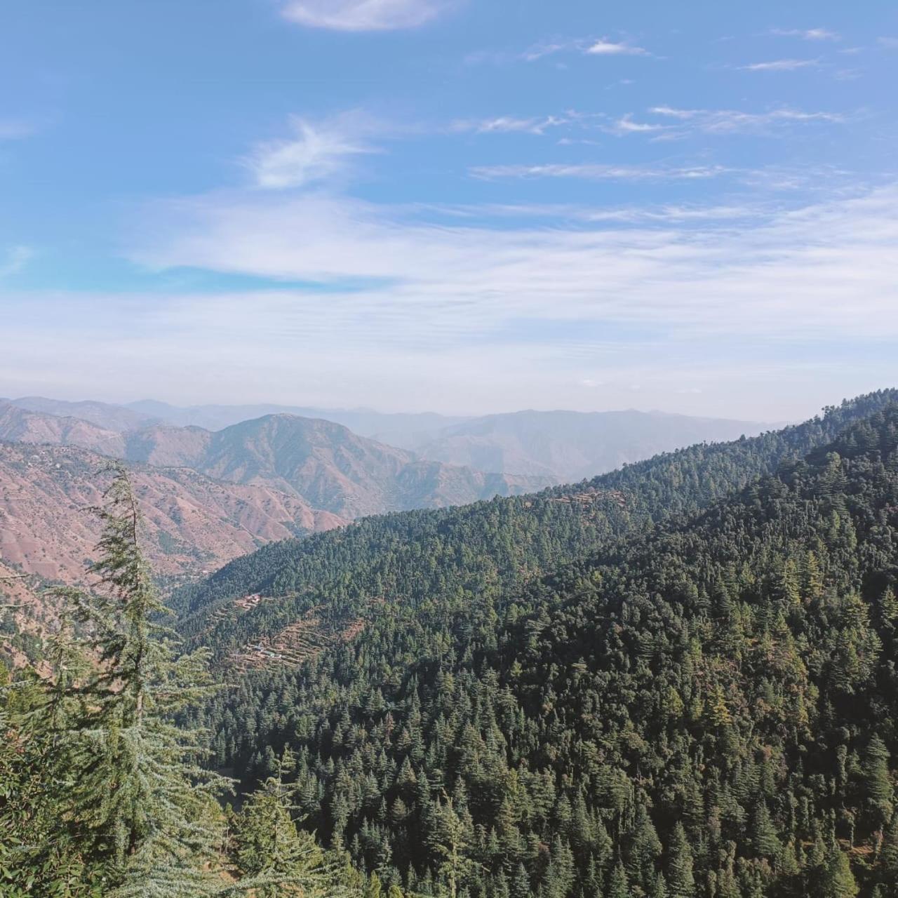 Peace Homestay Chail