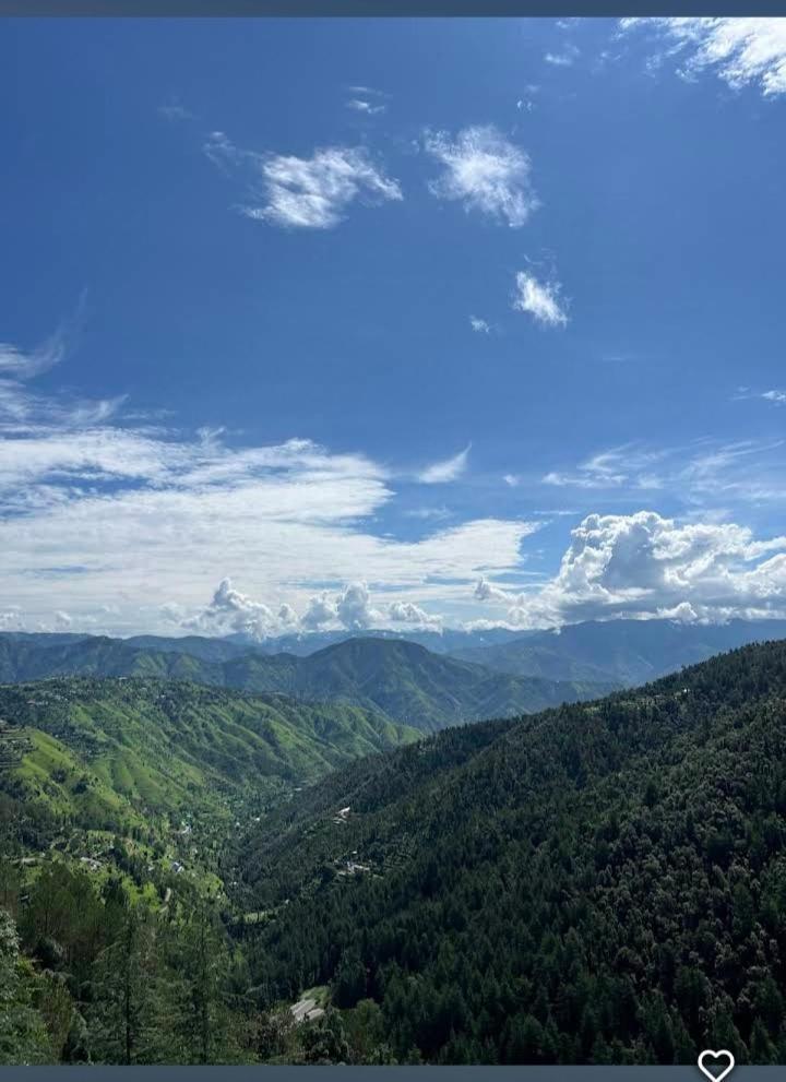 Homestay Peace Chail